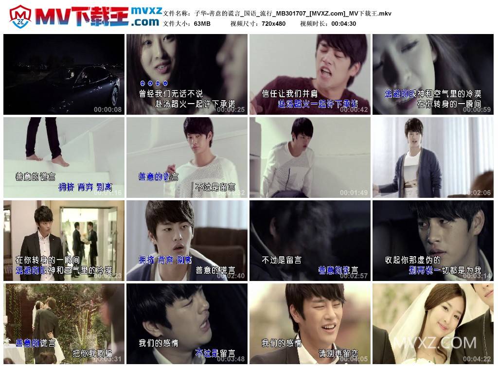 子华-善意的谎言_国语_流行_MB301707